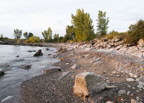 An Enduring Wilderness: Tommy Thompson Park, Toronto