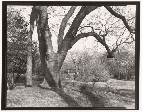 Nethermead, Prospect Park, Brooklyn, New York City, New York