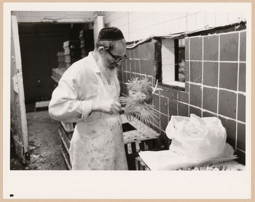 Montréal, Boulevard Saint-Laurent