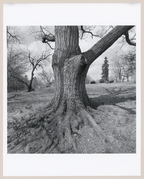 Andrew Jackson Downing Memorial Park, Newburg, New York