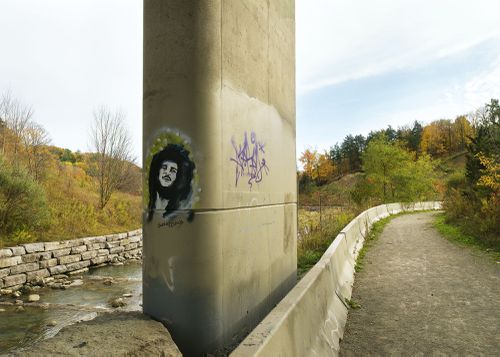 An Enduring Wilderness: Ellesmere Ravine, Toronto