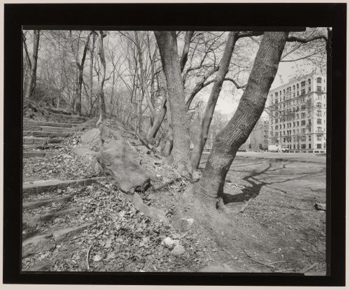 View along Central Park North 110th Street at Powell Boulevard, Central Park, New York City, New York