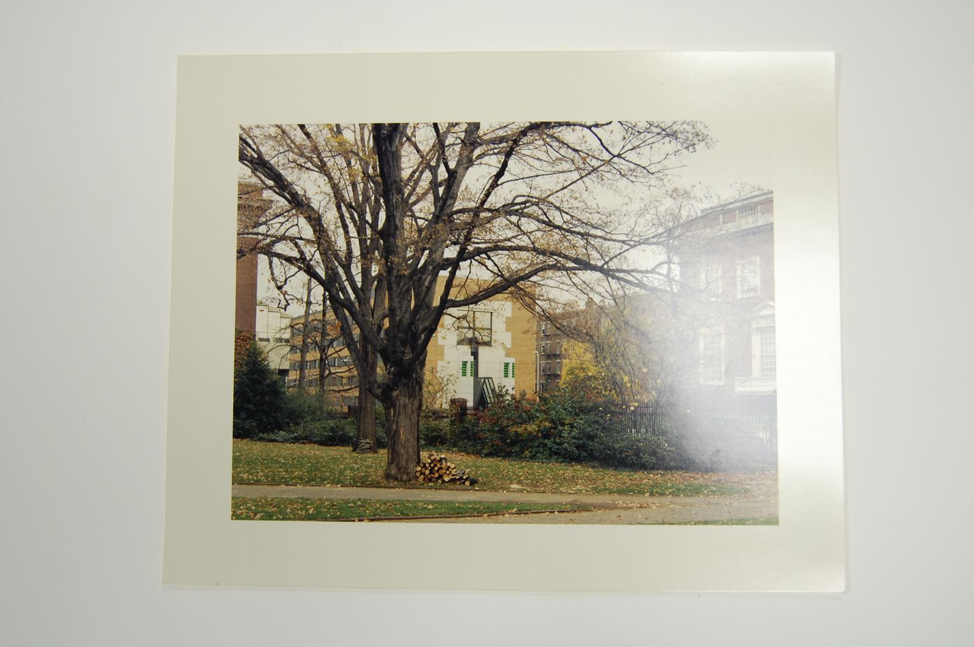 Arthur M. Sackler Museum, Cambridge, Massachusetts