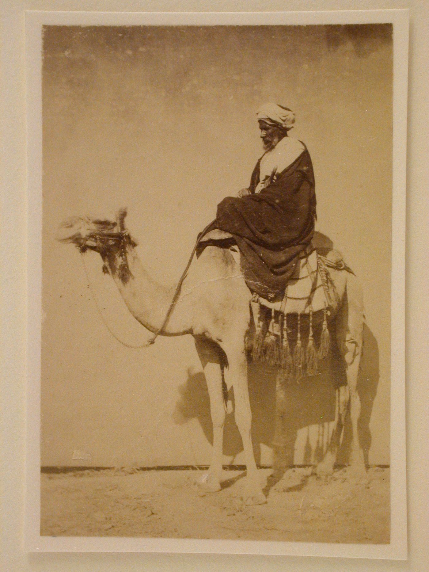 Elderly man seated on a camel