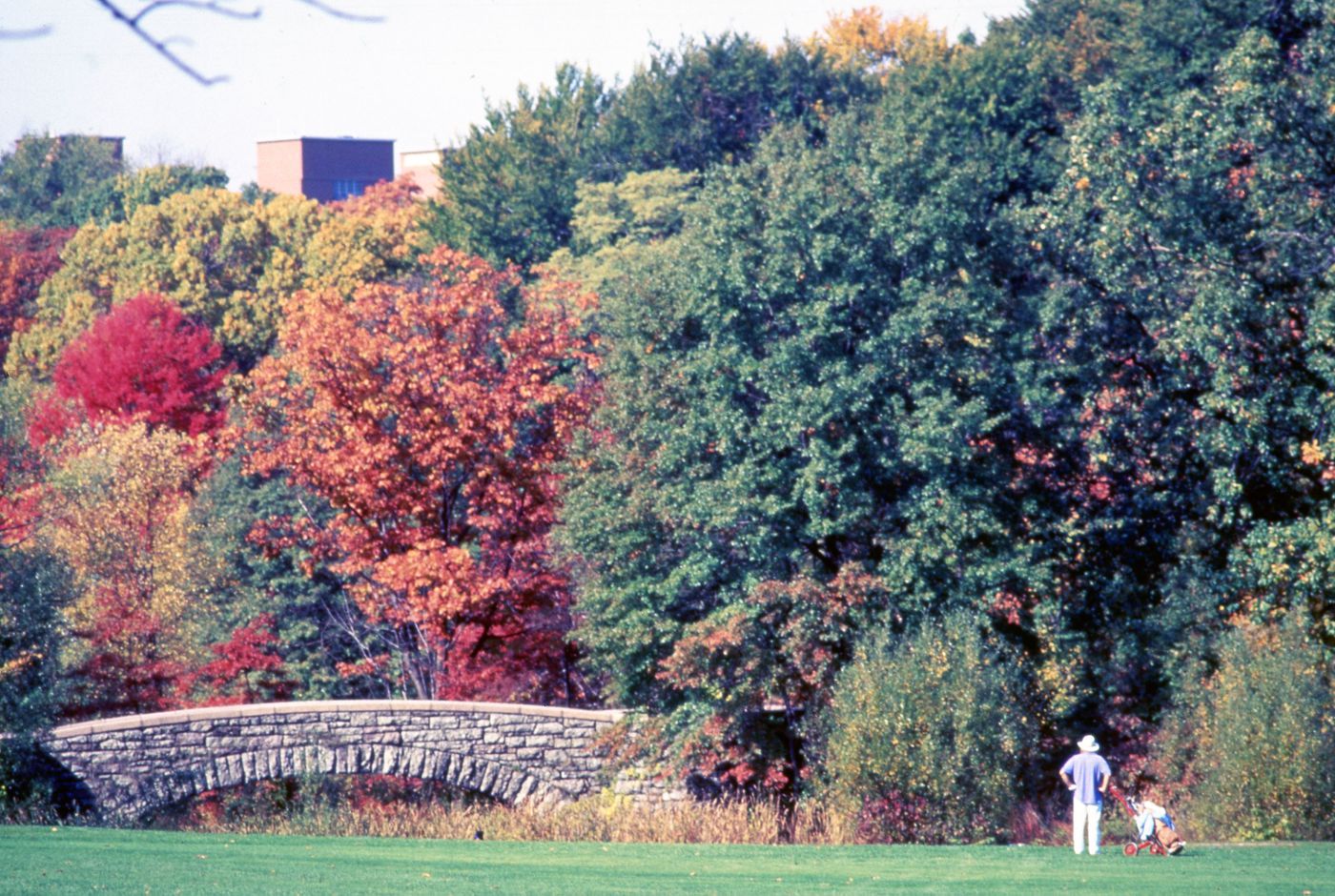 Photograph of stone bridge and trees for research for Olmsted: L'origine del parco urbano e del parco naturale contemporaneo
