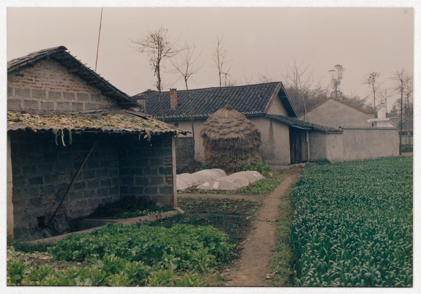 View of rural houses in Sichuan province, China