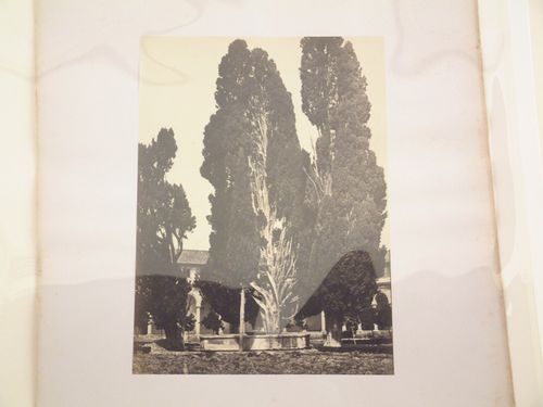 View of cypress trees in front of the Church of Santa Maria degli Angeli, Rome, Italy