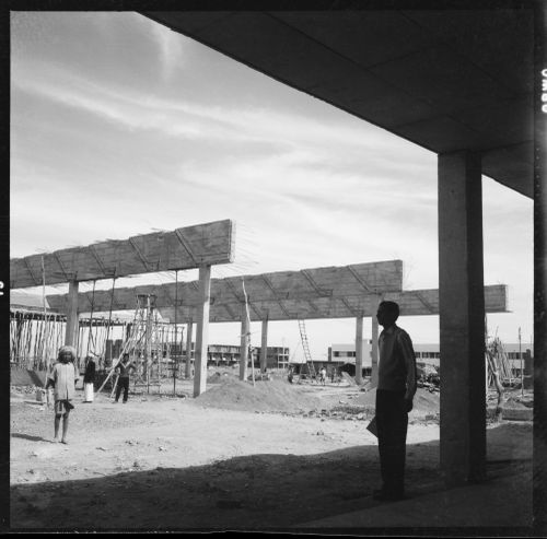 Negative of Punjab Agricultural University in Ludhiana, India