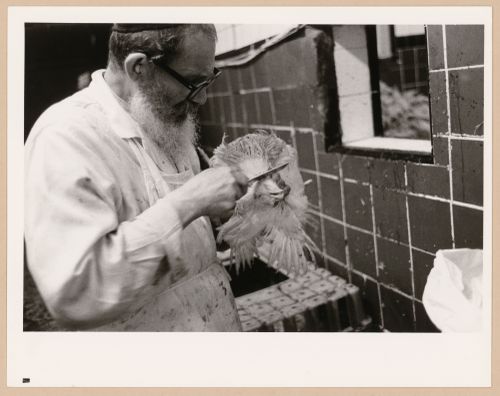 Montréal, Boulevard Saint-Laurent