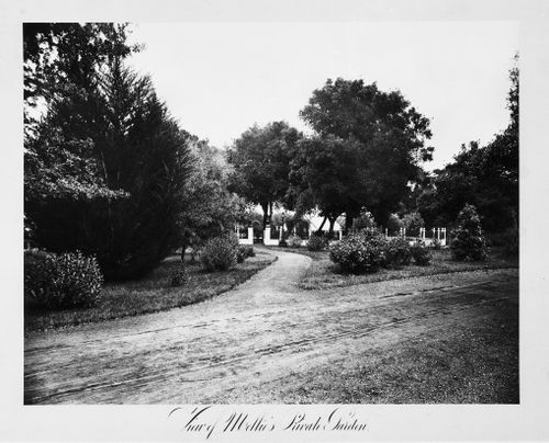 View of the grounds, Thurlow Lodge, Menlo Park, California