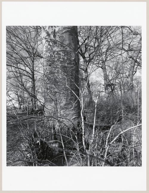 Prospect Park, Brooklyn, New York