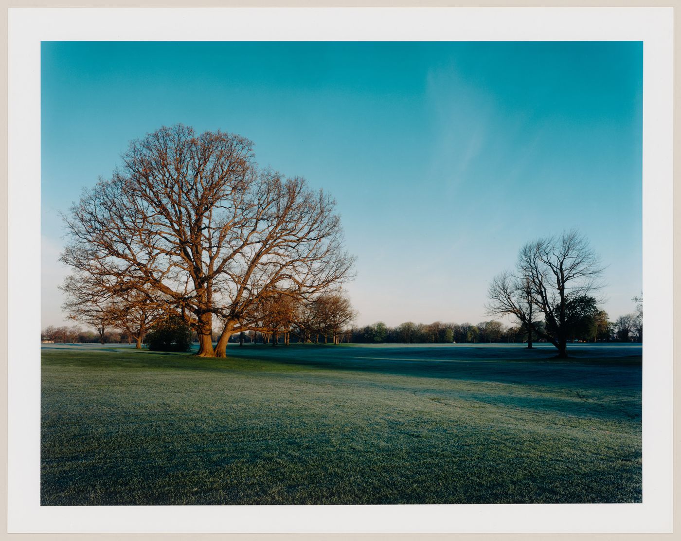 Viewing Olmsted: View of Country meadow, Delaware Park, Buffalo, New York