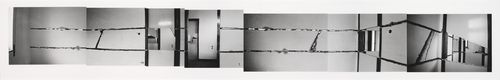 A W-Hole House: Datum Cut, Core Cut, Trace de oeur