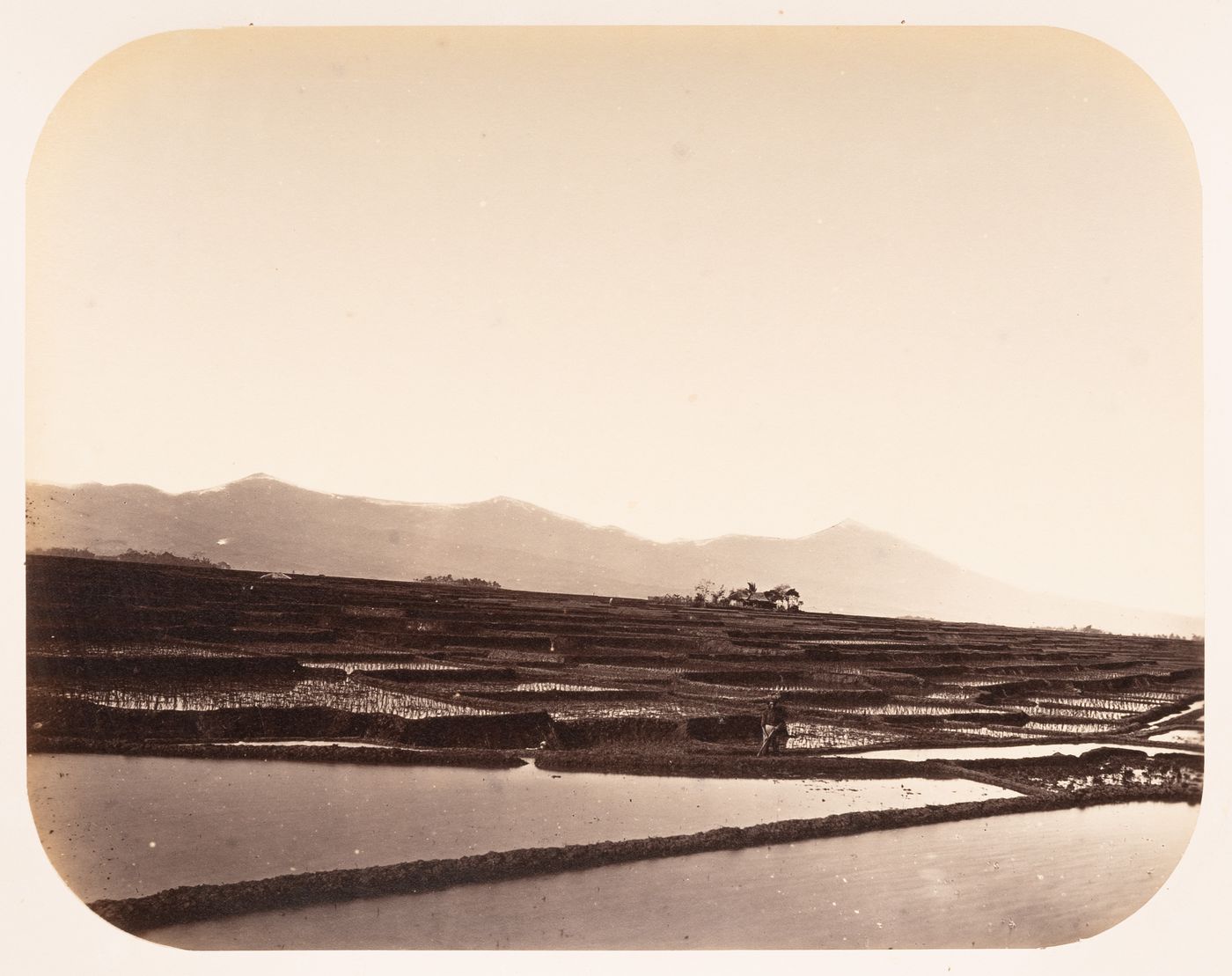 View of rice paddies, near Bandong (now Bandung), Dutch East Indies (now Indonesia)