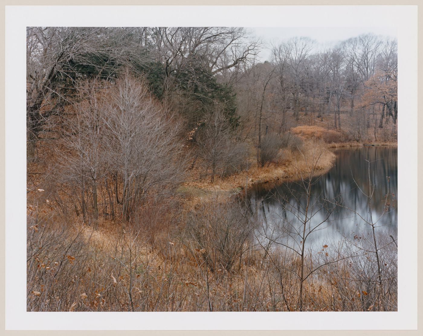 Viewing Olmsted: View of Ward's Pond, Boston, Massachusetts
