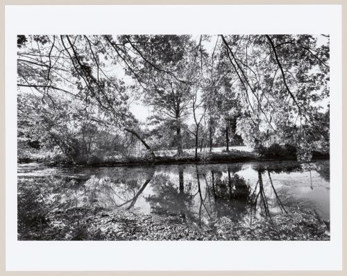 View towards Simond College in vicinity of Longwood entrance, Muddy River Improvement, Muddy River, Boston, Massachusetts