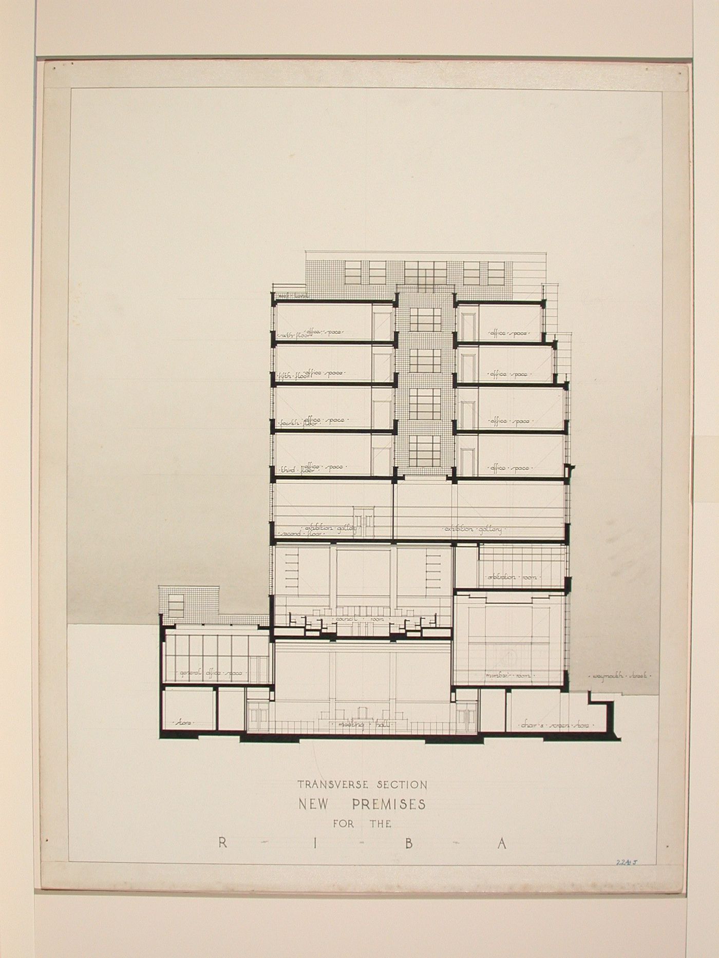 New premises for the Royal Institute of British Architects: Cross section