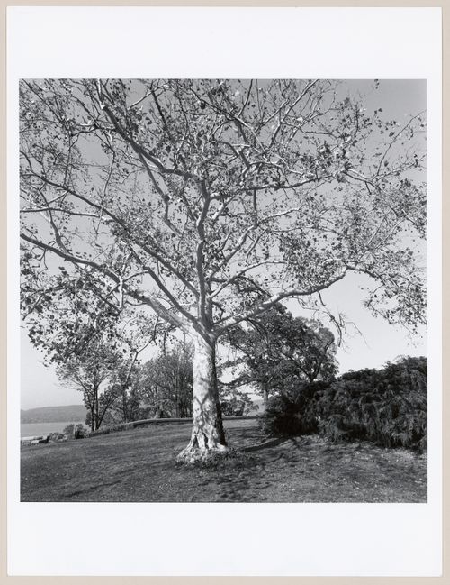 Rockwood Hall, The William D. Rockefeller Estate, Mount Pleasant, North Terrytown, New York