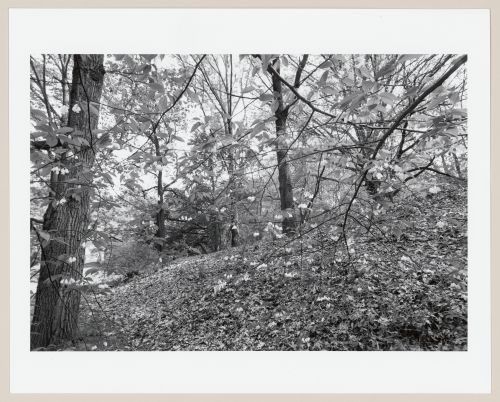 Highland Park, Rochester, New York