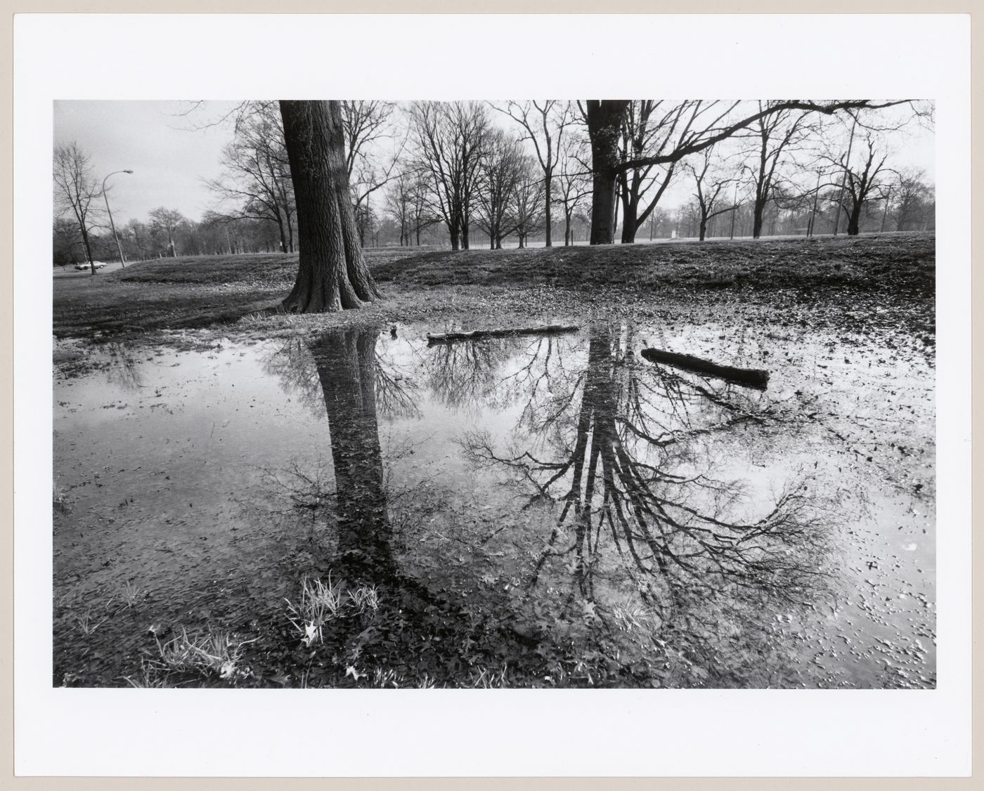 Shawnee Park, Louisville, Kentucky