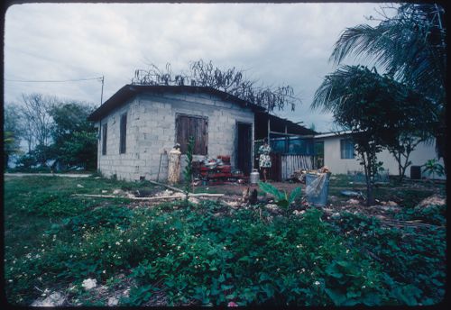 House, Jamaica