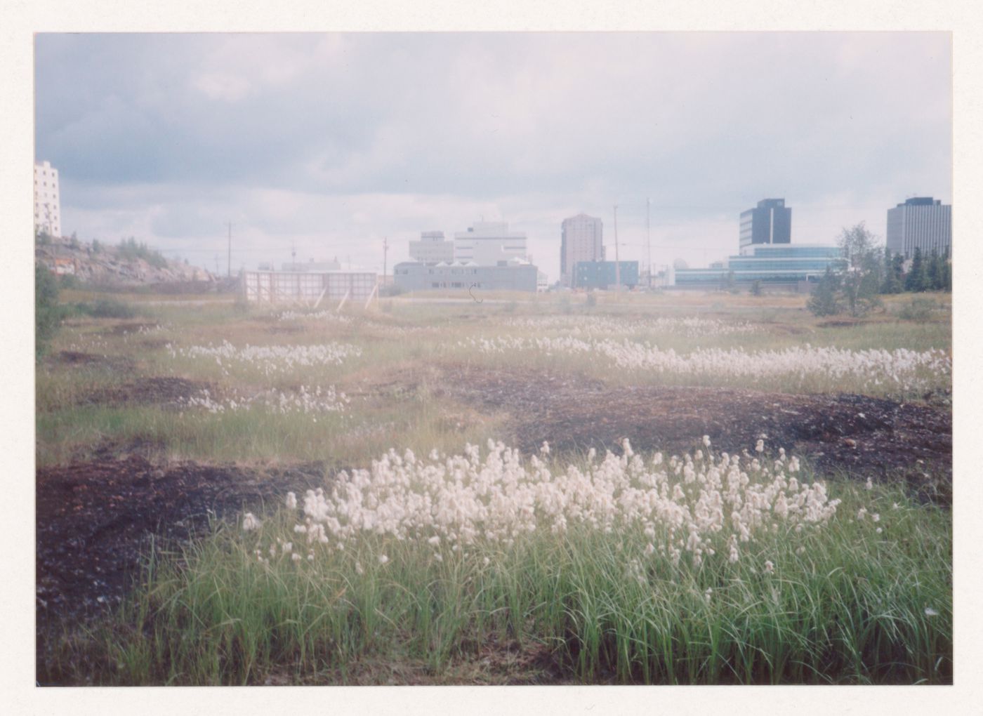 View of landscape regeneration, Northwest Territories Legislative Assembly Building, Yellowknife, Northwest Territories