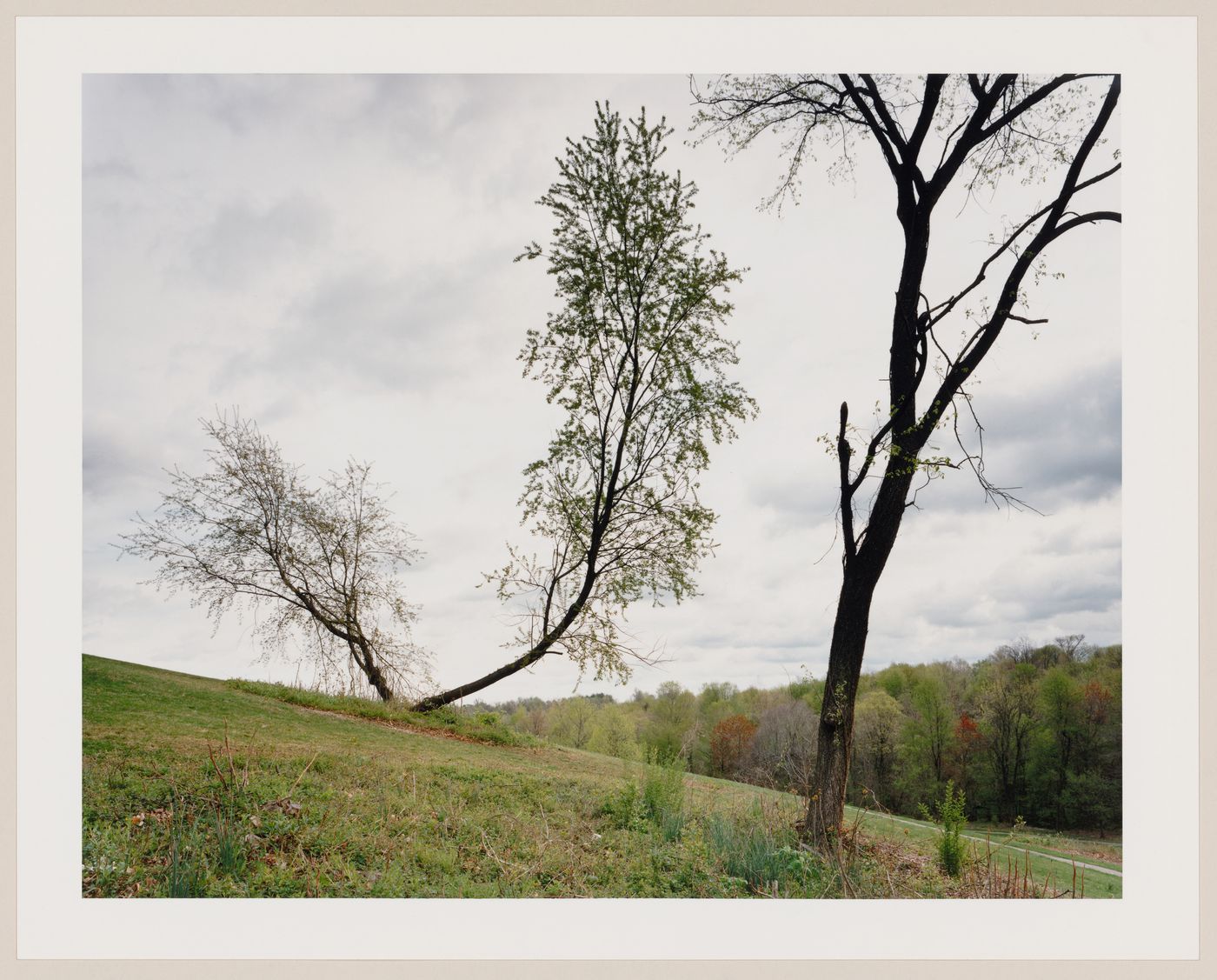 Viewing Olmsted: View of Hill One, Cherokee Park, Louisville, Kentucky