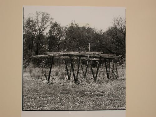 View of the grape arbor on the Caldwell Farm, Bristol, Wisconsin