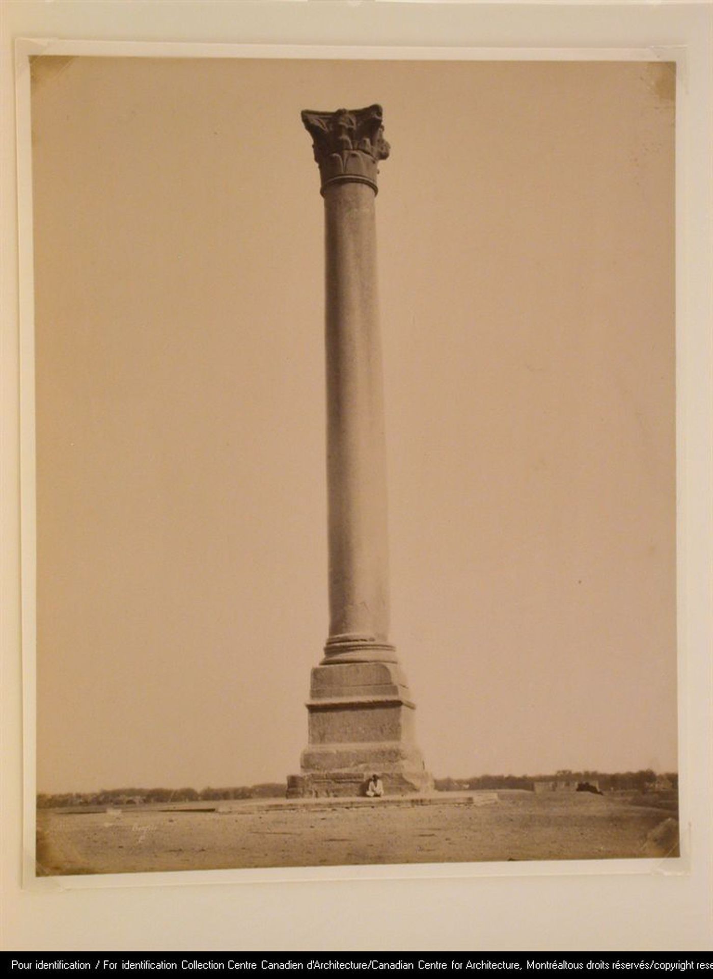 Colonne Pompee, Alexandrie