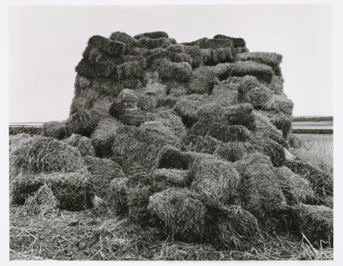 View of loosely piled bales of straw, Mainz, Germany