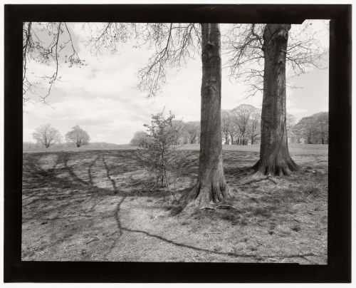 View of the Country Park, Franklin Park, Boston Massachusetts