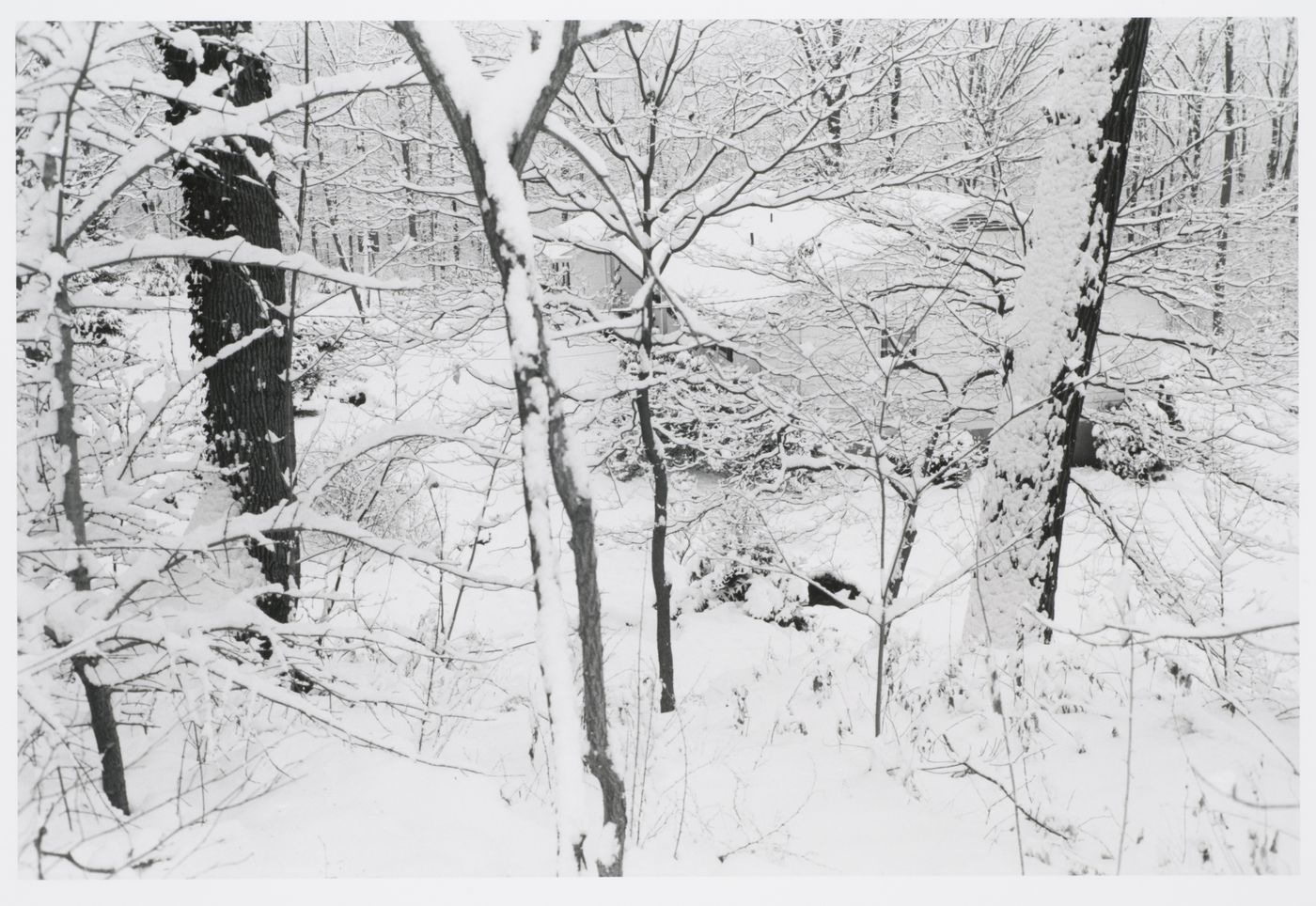 Suburban house covered with snow in woods, Hanover, New Hampshire