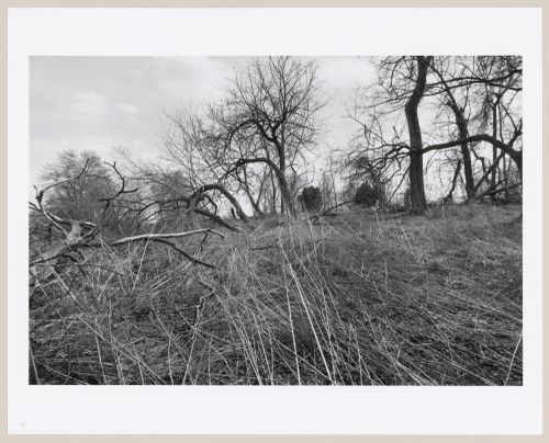 Shawnee Park, Louisville, Kentucky