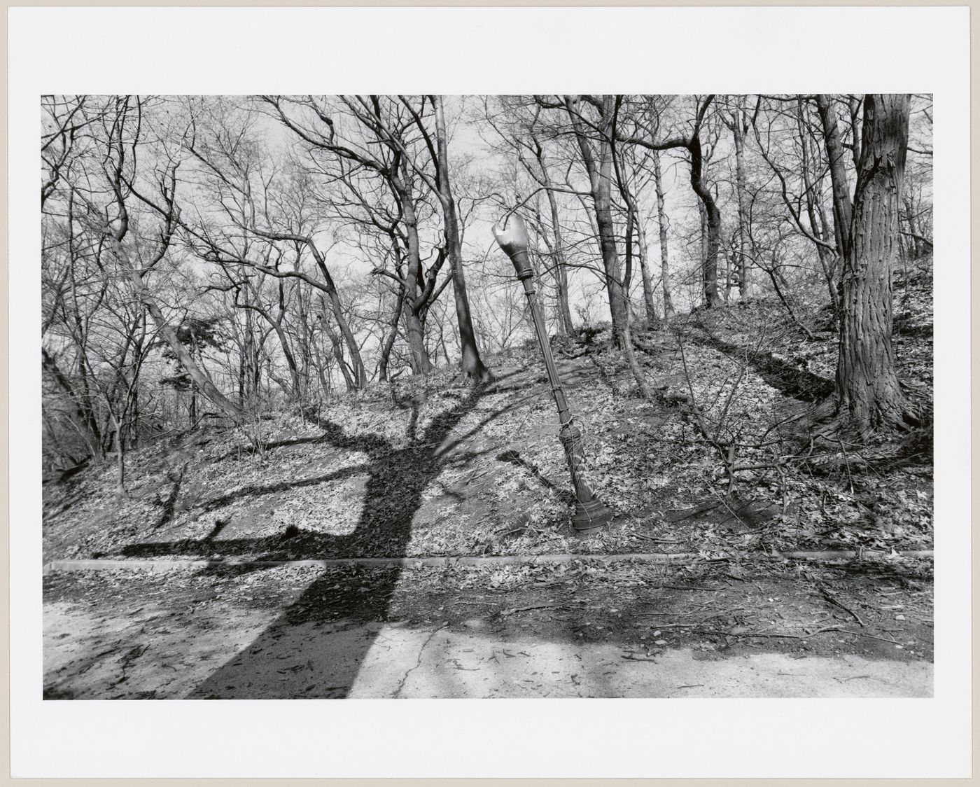 Prospect Park, Brooklyn, New York City, New York