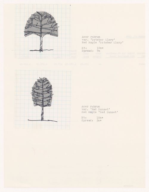 Plant specifications with illustration of specimens for National Gallery of Canada, Ottawa, Ontario