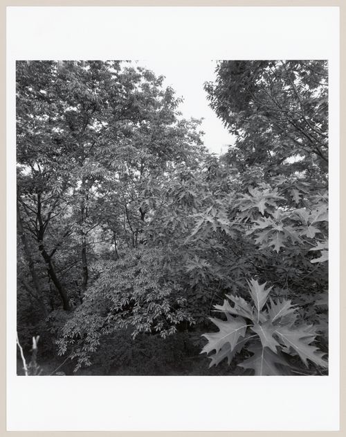 Morningside Park, New York, New York