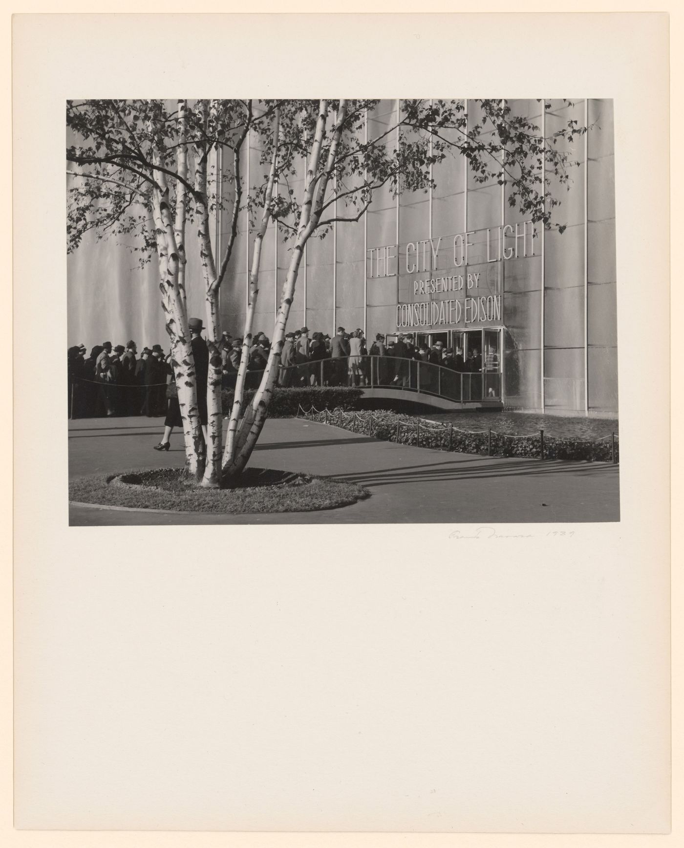 New York World's Fair (1939-1940): Crowds entering Consolidated Edison Building, "The City of Light", birch tree in foreground