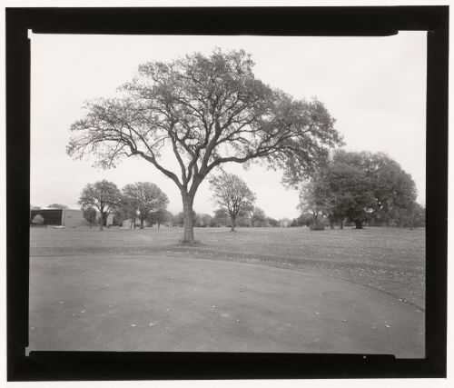 Golf green, Delaware Park, Buffalo, New York