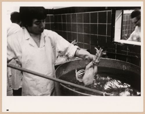 Montréal, Boulevard Saint-Laurent