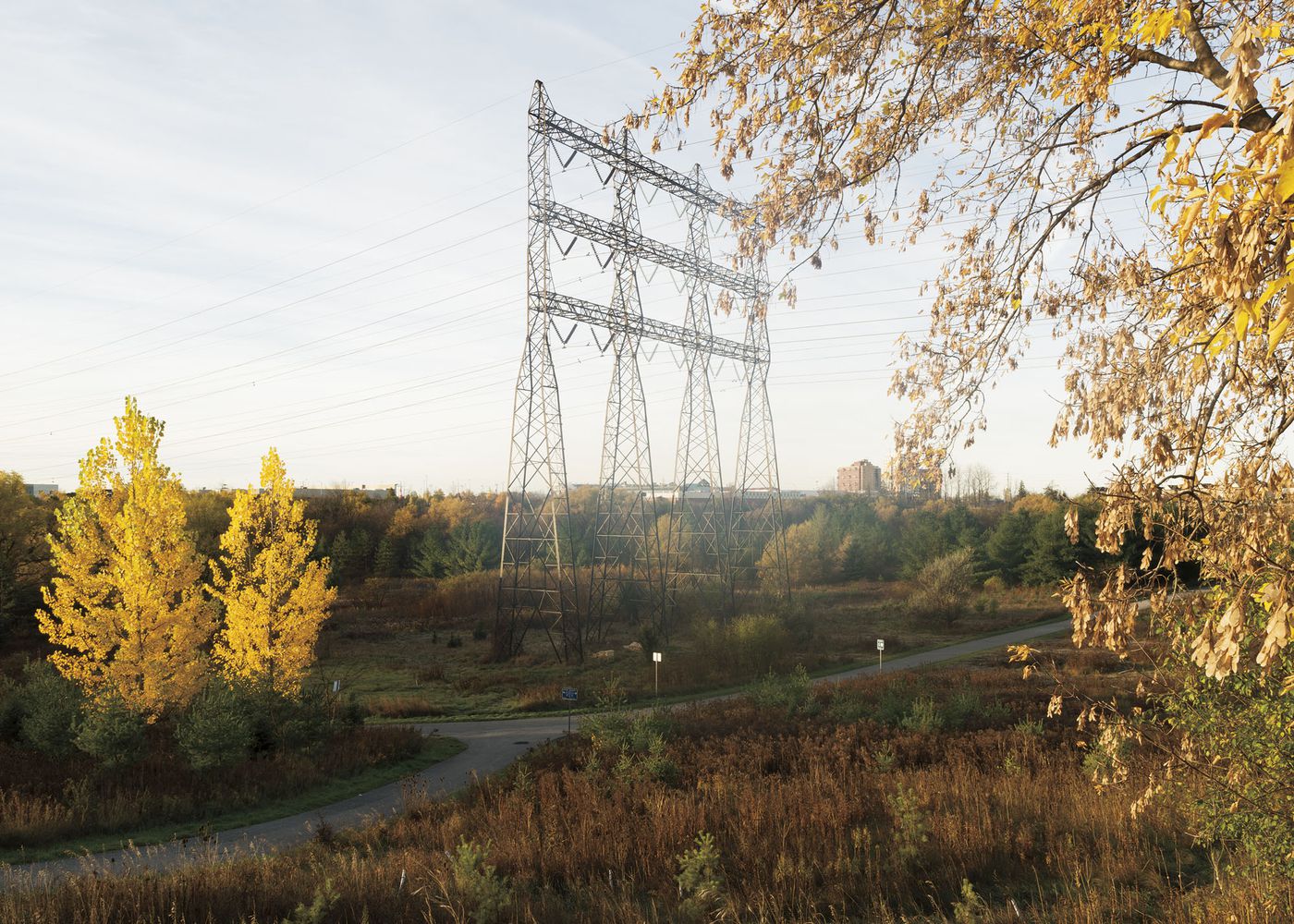 An Enduring Wilderness: Hydro tower, West Humber Parkland, Toronto
