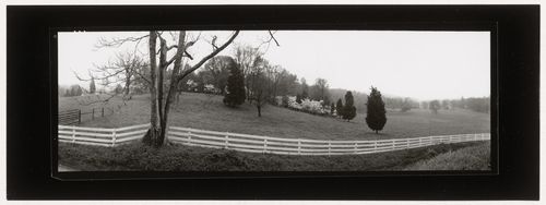 View of a field delimited by a white wooden fence, Virginia