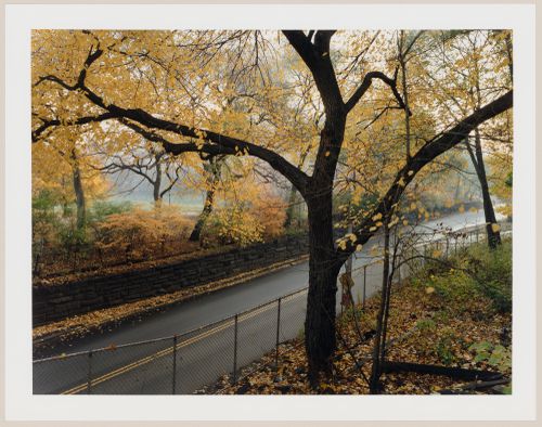 Viewing Olmsted: View of the transverse road (97th Street), Central Park, Manhattan, New York City, New York