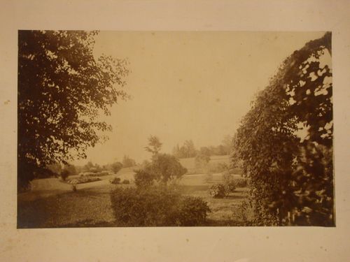 View of the grounds of Rozenhof, residence of S. R. Van Duzer, Newburgh, New York