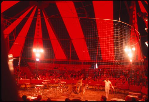 Circus, Kassel, Germany