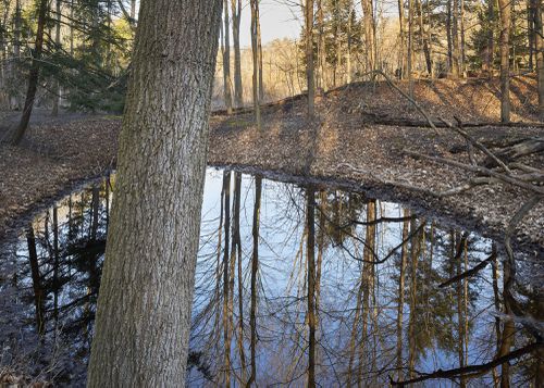 An Enduring Wilderness: Morningside Park, Toronto