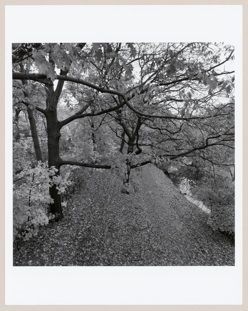 Muddy River Improvement, Boston, Massachusetts