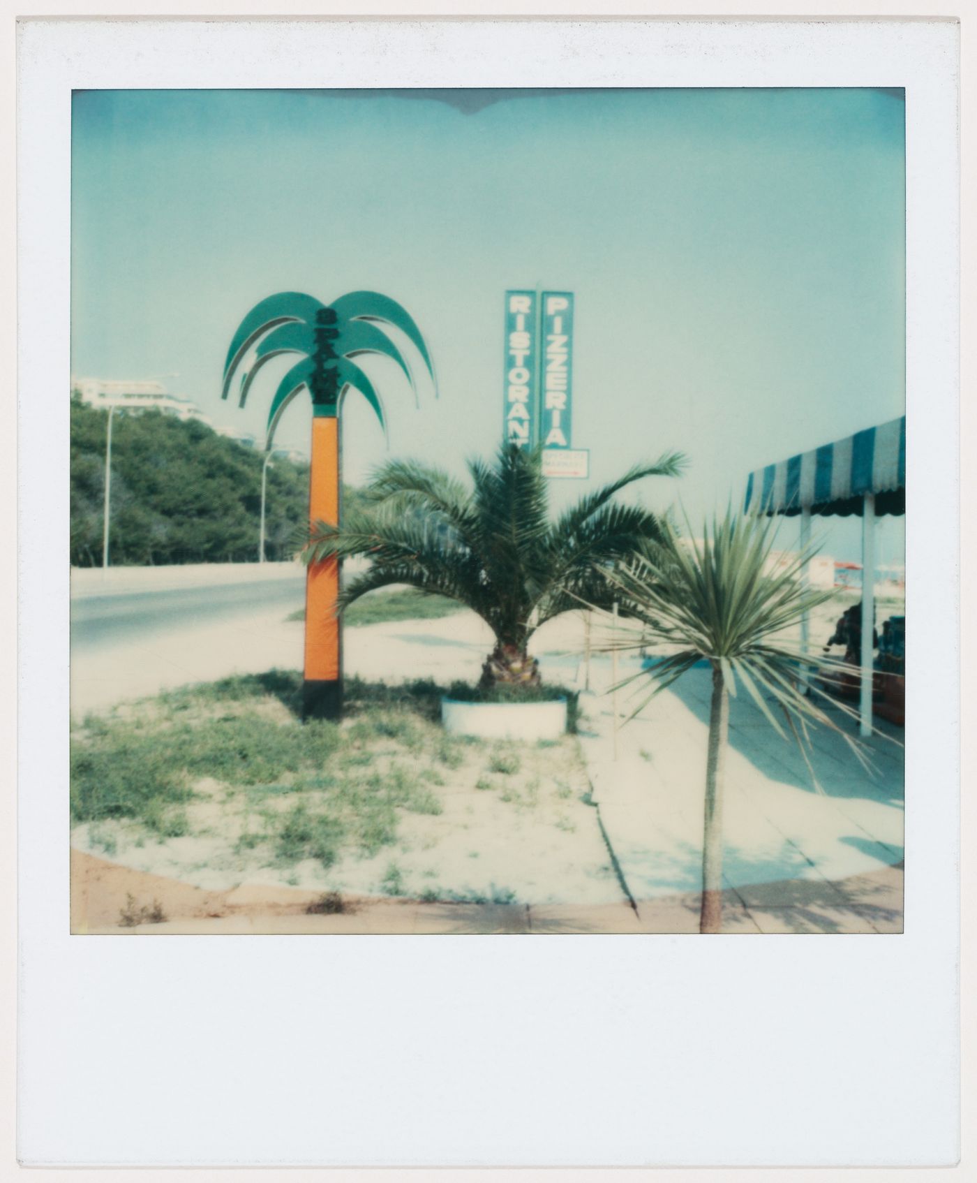 View of fake palm tree and the "Ristorante Pizzeria" sign along the road, Italy
