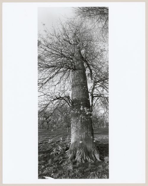 Shawnee Park, Louisville, Kentucky