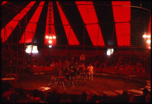 Circus, Kassel, Germany