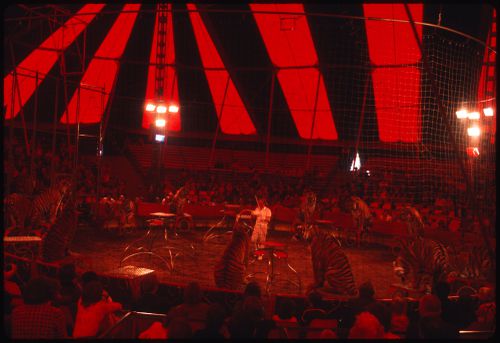 Circus, Kassel, Germany